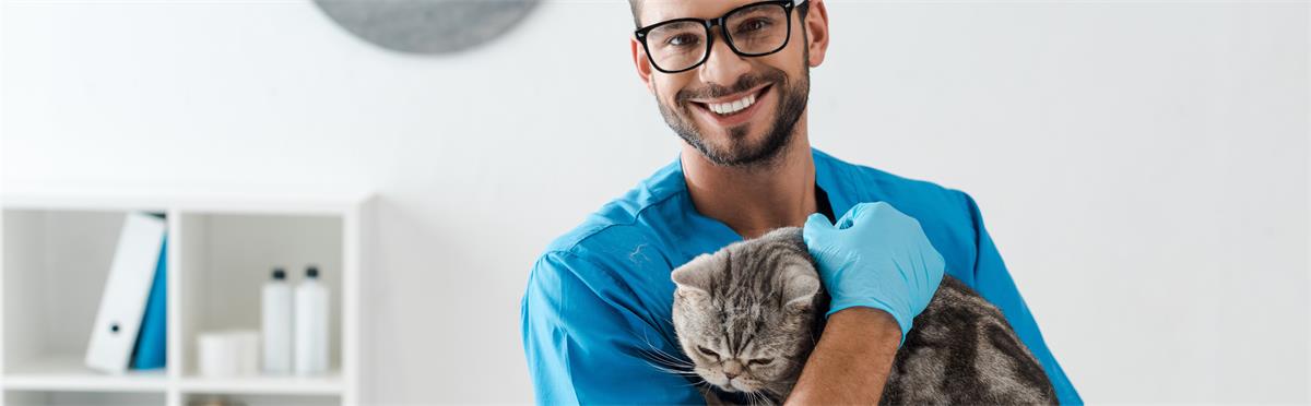 Veterinarian and his patient